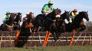 Sandown Hurdle Action